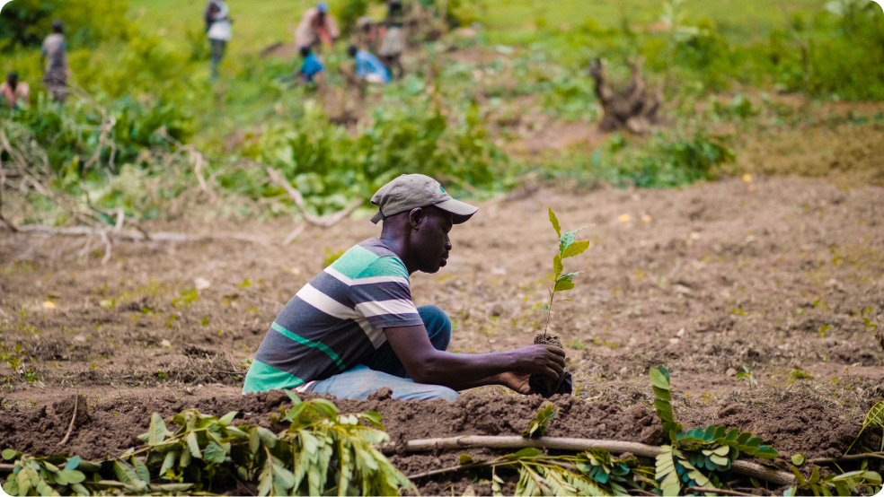 Keyvalue coltivatore haiti